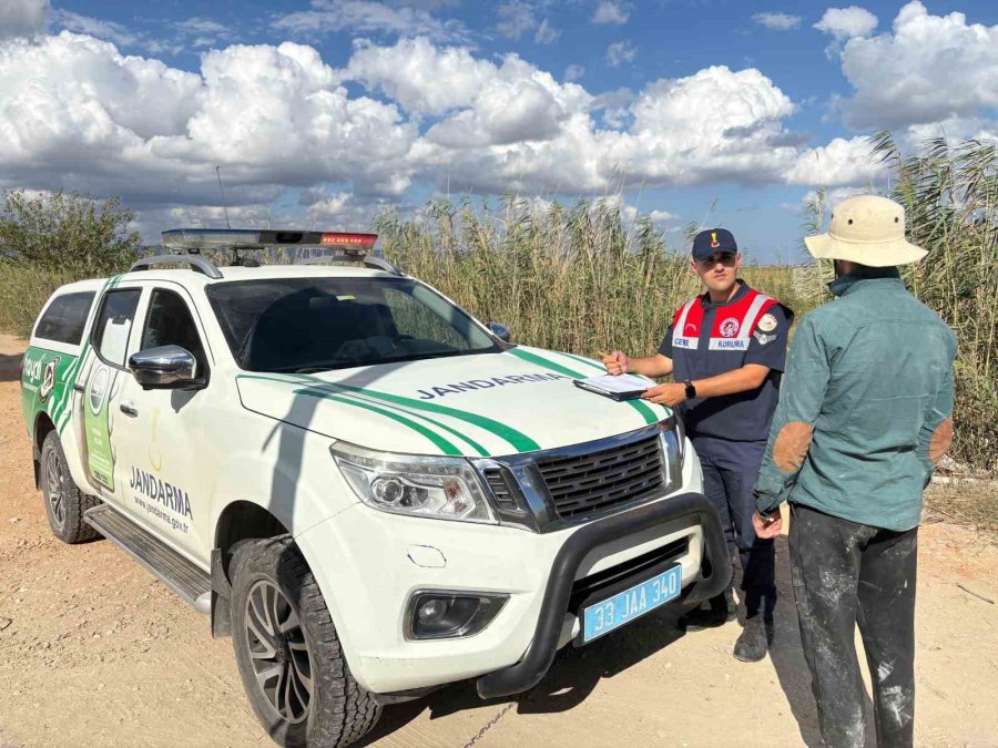 Göksu Deltası’nda Mavi Yengeç Avcıları Yakalandı