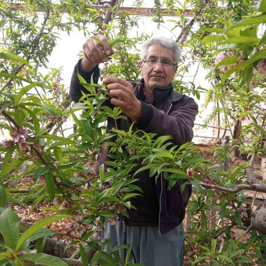 Mersin’deki Dehşette Vatandaş Tepki Gösterdi, Cenazeler Ayrı Araçlarla Gönderildi