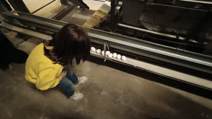 Minik Öğrenciler Tarımla Buluştu