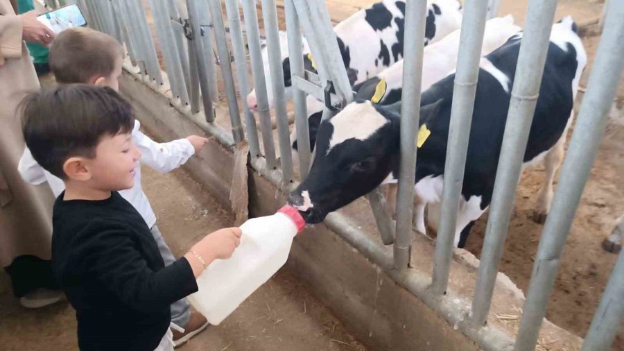 Minik Öğrenciler Tarımla Buluştu