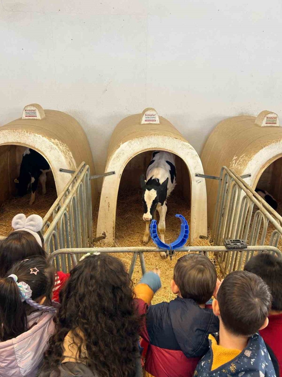 Minik Öğrenciler Tarımla Buluştu