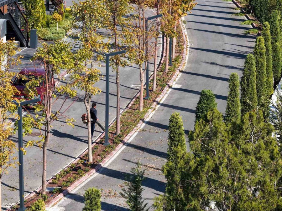 Meram’ın Park Ve Bahçeleri Kışa Hazırlanıyor