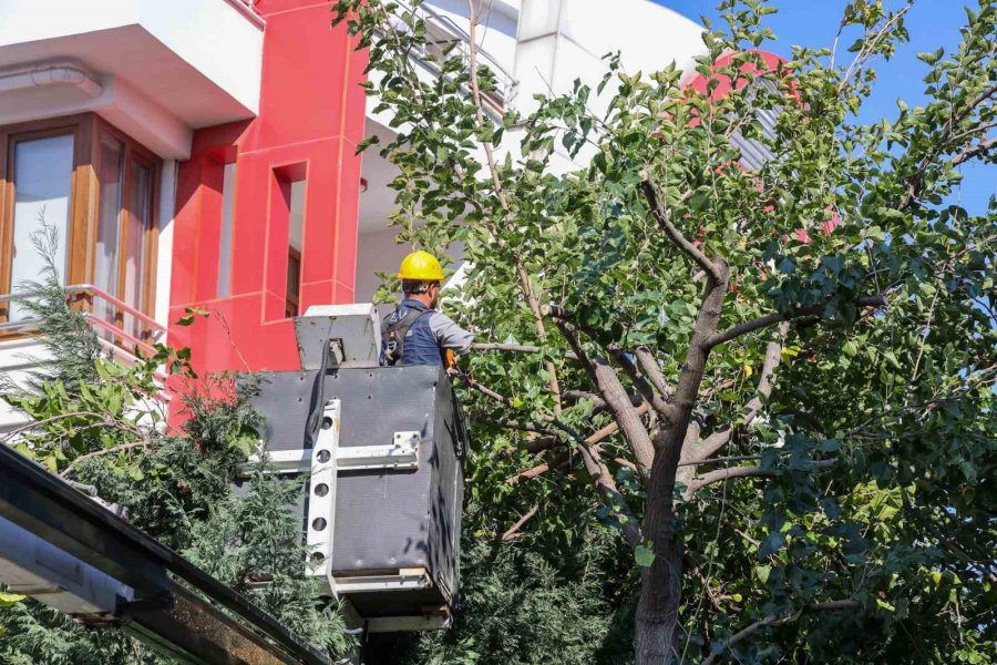 Meram’ın Park Ve Bahçeleri Kışa Hazırlanıyor