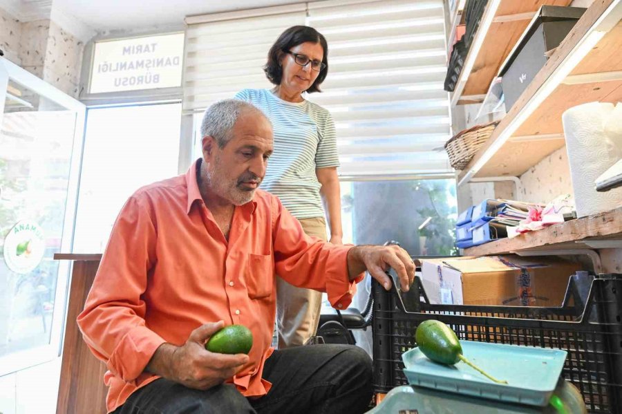 Mersin’de Çiftçiye Tropikal Meyve Desteği