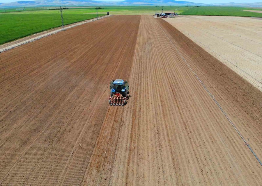Hububat Ekiminde ’uyguna Bulduk Derken’ Rekolteden Olmayın Uyarısı