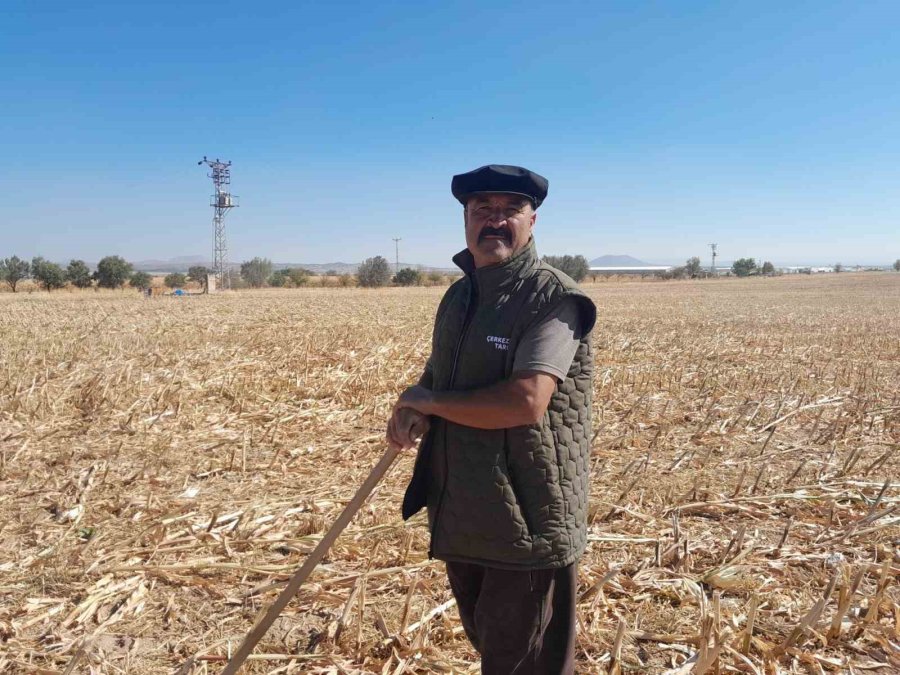 Arazide İlerleyen Koyun Ve Kuzuların Toz Bulutlarıyla Görüntüsü Görsel Şölen Sundu