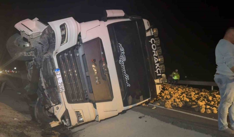 Köpeğe Çarpmamak İçin Sürücüsünün Manevra Yaptığı Pancar Yüklü Tır Refüje Devrildi