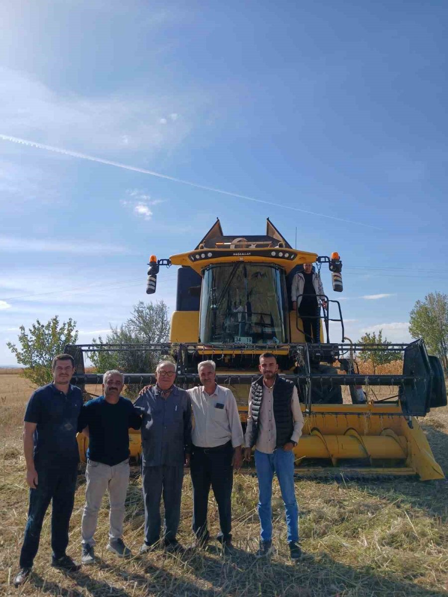 Konya Ovası’nda Kenevir Hasadı