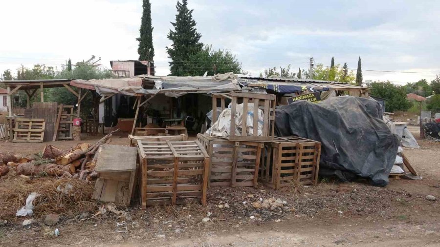 İyiliği Hayatını Altüst Etti, Hem Yarım Milyon Lira Borçlandı Hem De Evden Kovuldu