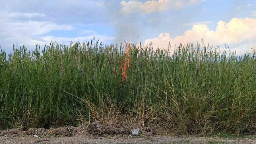 Dökülen Çöpler Kargıların Yanmasına Neden Oldu