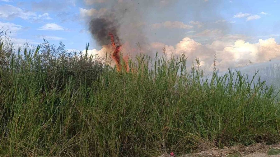 Dökülen Çöpler Kargıların Yanmasına Neden Oldu