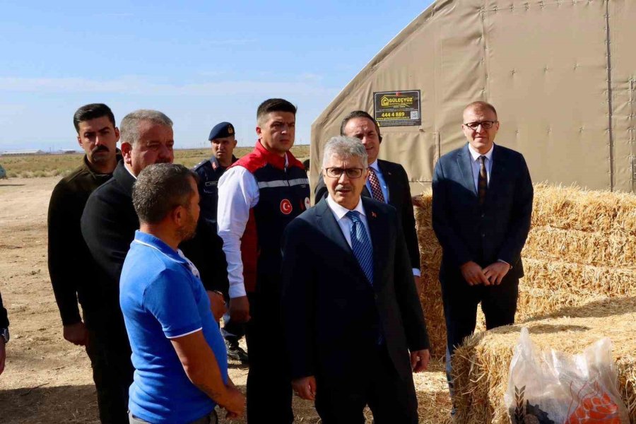 Yangında Hayvanlarını Kaybeden Üreticiye 72 Küçükbaş Teslim Edildi