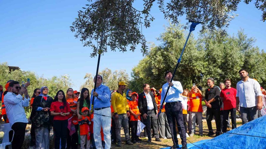 Başkan Boltaç: "bu Topraklarda Yetişen Her Zeytin Tanesi Aslında Bir İyiliğin Tohumu"