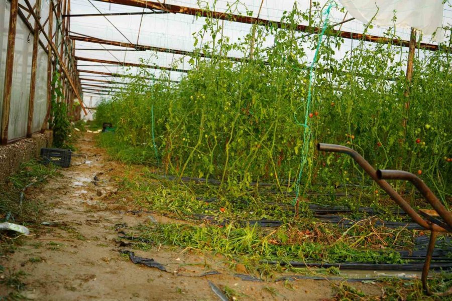 Antalya’da Sağanak Seraları Da Vurdu