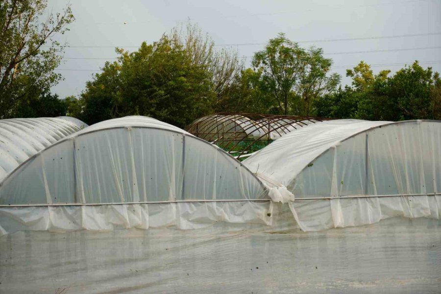 Antalya’da Sağanak Seraları Da Vurdu