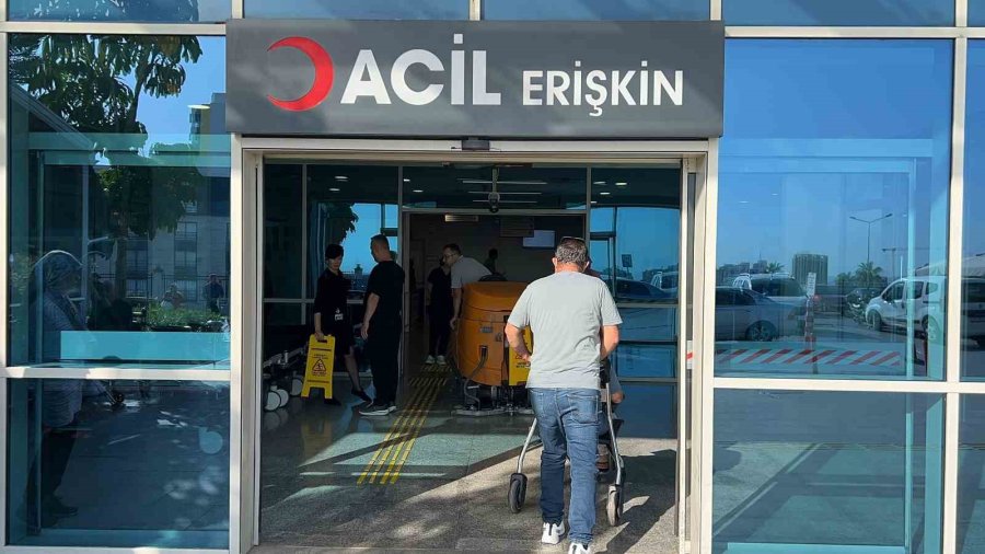 Mersin’deki Köpek Dehşeti: Köpeğin Isırdığı Anne Yaşananları Anlattı