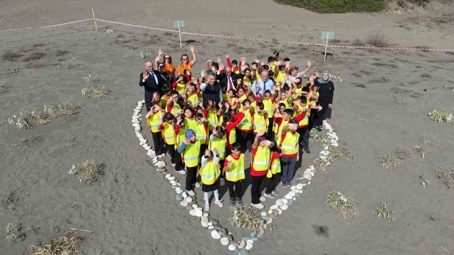 Cezası 2 Milyon 800 Bin Tl’ye Kadar Çıkıyor: Akdeniz’in Güzelliği Kum Zambakları Koruma Altına Alındı