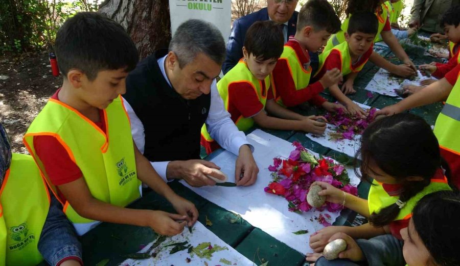 Cezası 2 Milyon 800 Bin Tl’ye Kadar Çıkıyor: Akdeniz’in Güzelliği Kum Zambakları Koruma Altına Alındı