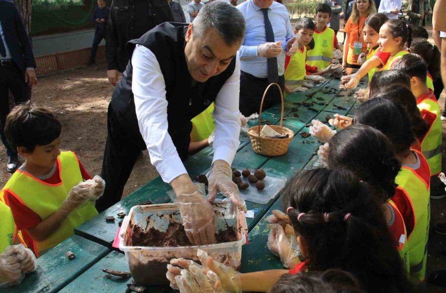 Cezası 2 Milyon 800 Bin Tl’ye Kadar Çıkıyor: Akdeniz’in Güzelliği Kum Zambakları Koruma Altına Alındı