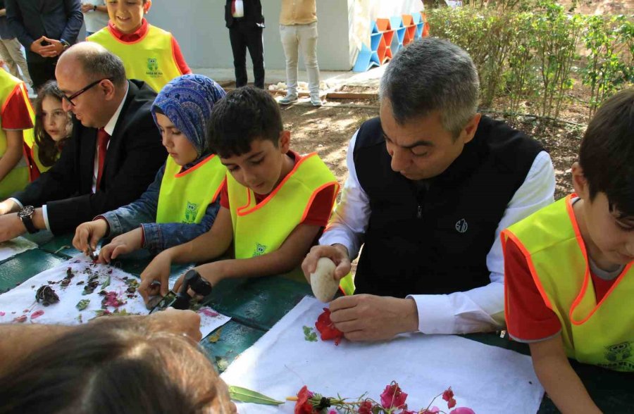 Cezası 2 Milyon 800 Bin Tl’ye Kadar Çıkıyor: Akdeniz’in Güzelliği Kum Zambakları Koruma Altına Alındı