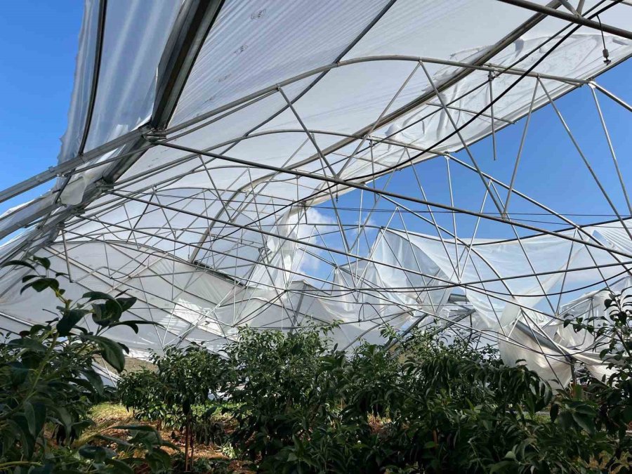 Serik’te Yağıştan Zarar Gören Seralarda Hasar Tespit Çalışması Başladı