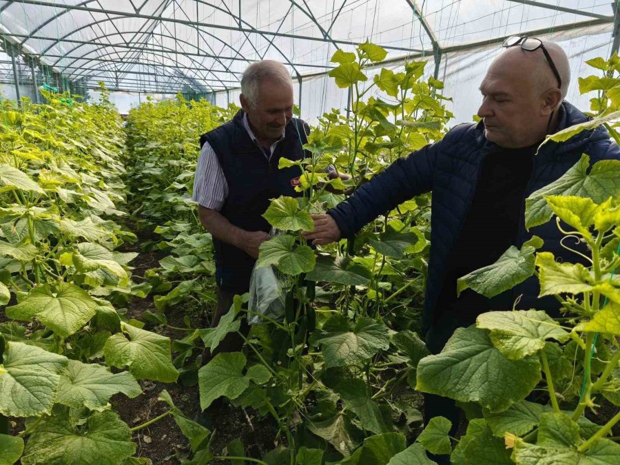 Beyşehir’de Örtü Altı Üretim Yaygınlaşıyor