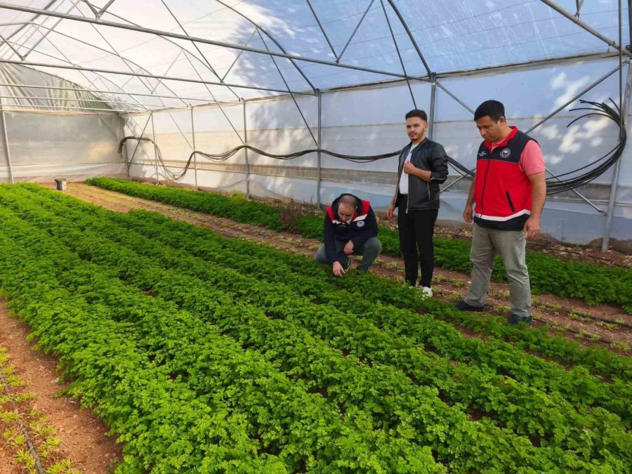 Beyşehir’de Örtü Altı Üretim Yaygınlaşıyor