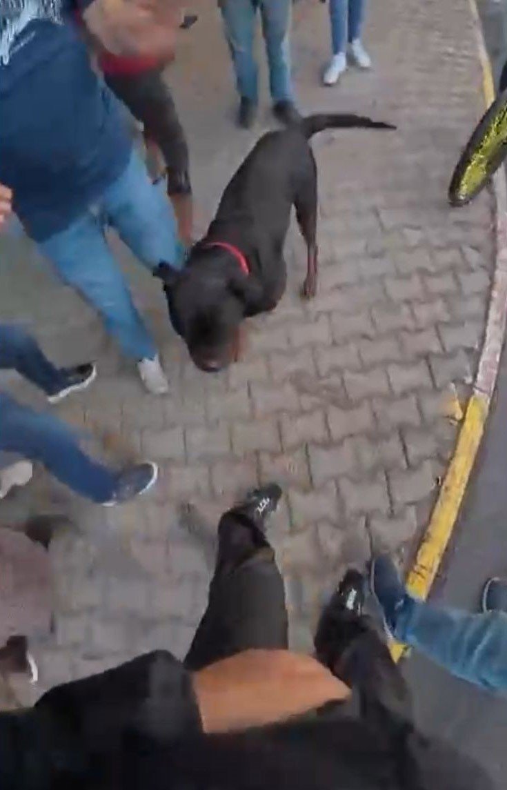 Köpek Dehşetinin Mağduru Motokurye O Anları Anlattı: "köpek Kafasını Çırpabilseydi Etimi Koparabilirdi"