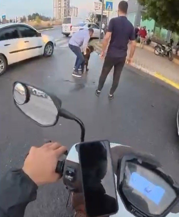 Köpek Dehşetinin Mağduru Motokurye O Anları Anlattı: "köpek Kafasını Çırpabilseydi Etimi Koparabilirdi"