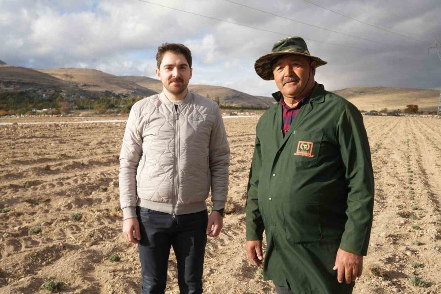 Niğde’de Tarıma Elverişli Olmayan Araziler Lavanta İle Üretime Kazandırılıyor