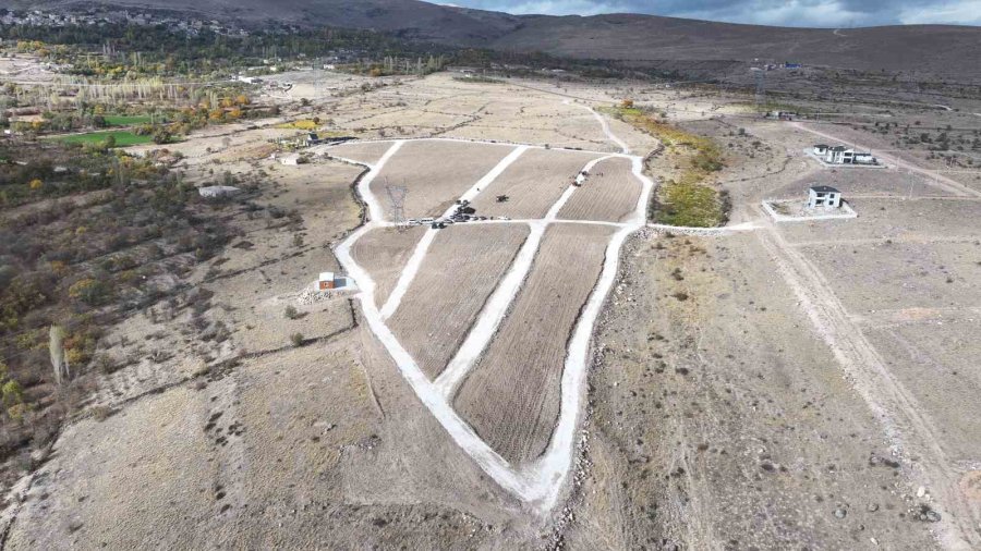 Niğde’de Tarıma Elverişli Olmayan Araziler Lavanta İle Üretime Kazandırılıyor