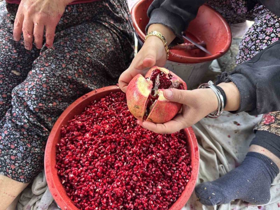 Geleneksel Yöntemlerle Katkısız Üretip Kilosunu 600 Liradan Satıyorlar