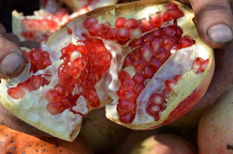 Geleneksel Yöntemlerle Katkısız Üretip Kilosunu 600 Liradan Satıyorlar