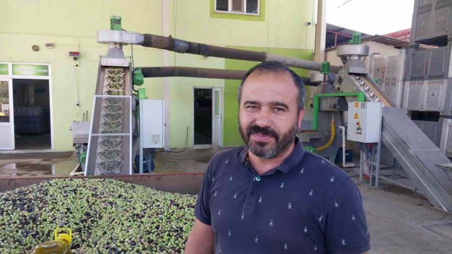 Zeytinin Zahmetli Yağ Yolculuğu Başladı