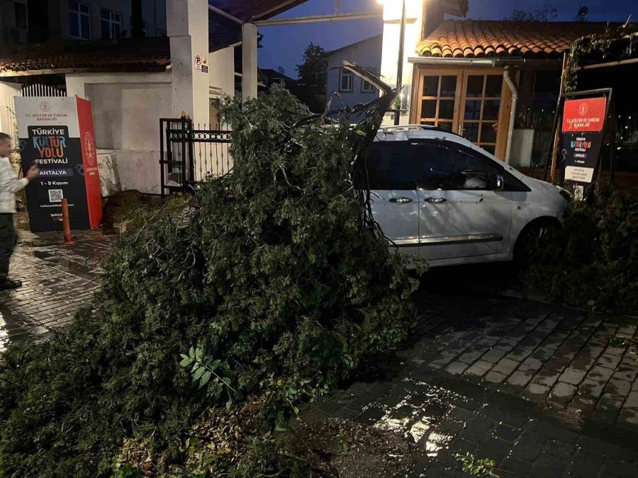Fırtınanın Devirdiği Ağaç Park Halindeki Aracın Üzerine Düştü