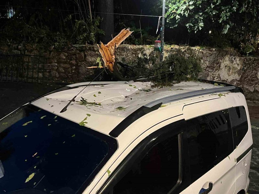 Fırtınanın Devirdiği Ağaç Park Halindeki Aracın Üzerine Düştü