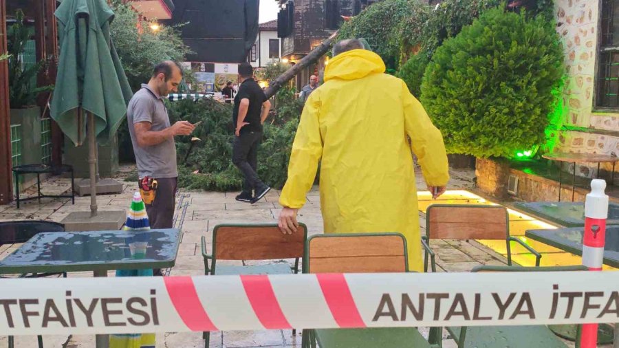 Sağanak Ve Rüzgar Aniden Bastırdı, Devrilen Ağacın Altında Kalan 3 Kişi Yaralandı