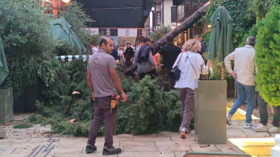 Sağanak Ve Rüzgar Aniden Bastırdı, Devrilen Ağacın Altında Kalan 3 Kişi Yaralandı