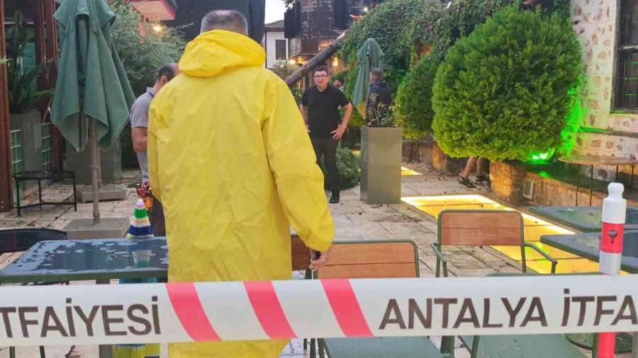 Sağanak Ve Rüzgar Aniden Bastırdı, Devrilen Ağacın Altında Kalan 3 Kişi Yaralandı