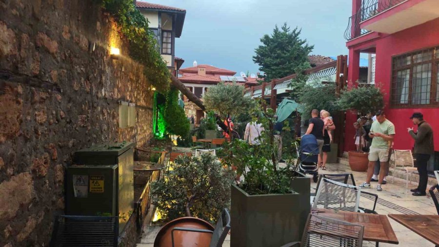 Sağanak Ve Rüzgar Aniden Bastırdı, Devrilen Ağacın Altında Kalan 3 Kişi Yaralandı