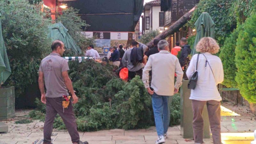 Sağanak Ve Rüzgar Aniden Bastırdı, Devrilen Ağacın Altında Kalan 3 Kişi Yaralandı