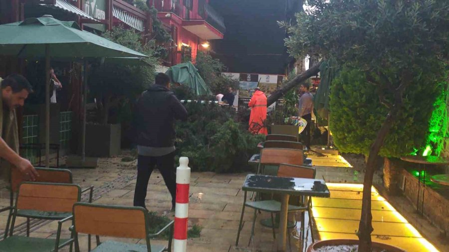 Sağanak Ve Rüzgar Aniden Bastırdı, Devrilen Ağacın Altında Kalan 3 Kişi Yaralandı