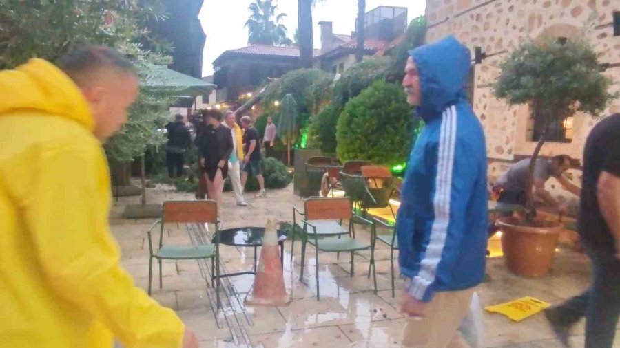 Sağanak Ve Rüzgar Aniden Bastırdı, Devrilen Ağacın Altında Kalan 3 Kişi Yaralandı