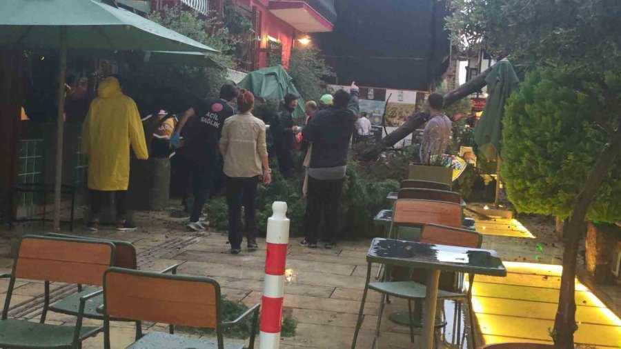Sağanak Ve Rüzgar Aniden Bastırdı, Devrilen Ağacın Altında Kalan 3 Kişi Yaralandı