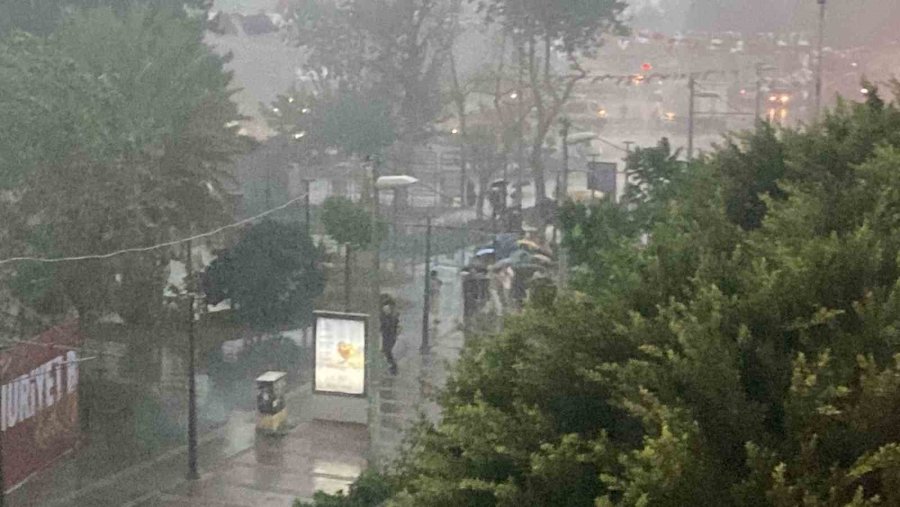 Sağanak Ve Rüzgar Aniden Bastırdı, Devrilen Ağacın Altında Kalan 3 Kişi Yaralandı