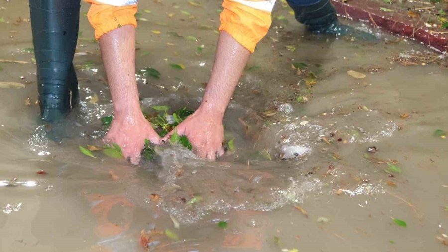 Belediye Ekipleri, Yağışın Oluşturduğu Olumsuzluklara 81 Araç Ve 323 Personelle Hızla Müdahale Etti