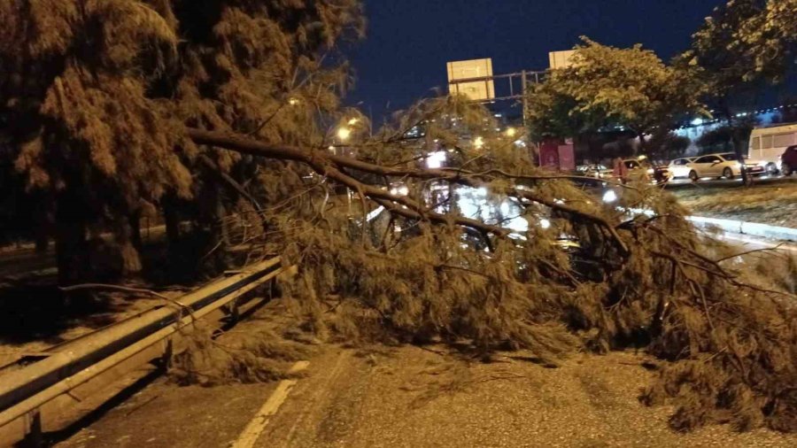 Belediye Ekipleri, Yağışın Oluşturduğu Olumsuzluklara 81 Araç Ve 323 Personelle Hızla Müdahale Etti