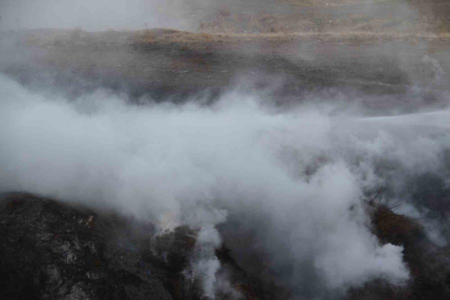 Beyşehir’de Ormanlık Alan İçerisinde Çıkan Yangın Paniğe Neden Oldu