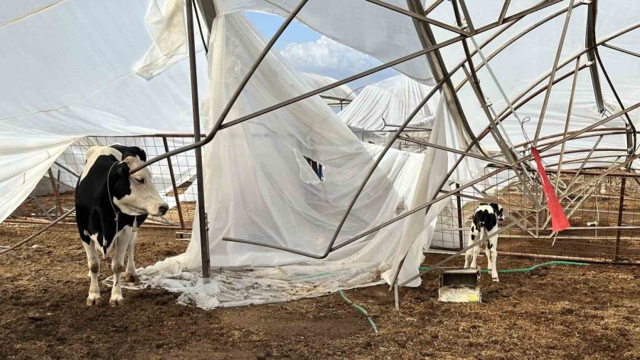 Serik’te Hasar Tespit Çalışmaları Sürüyor