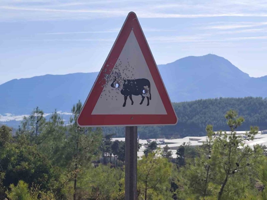 Bozyazı Yayla Yolunda Trafik Levhalarına Kurşunlu Saldırı